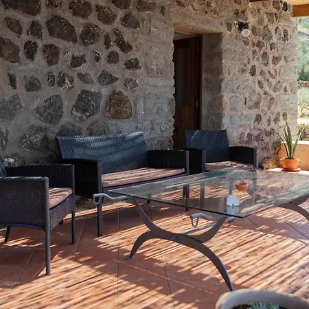 Dammusi Uliveto Holiday home