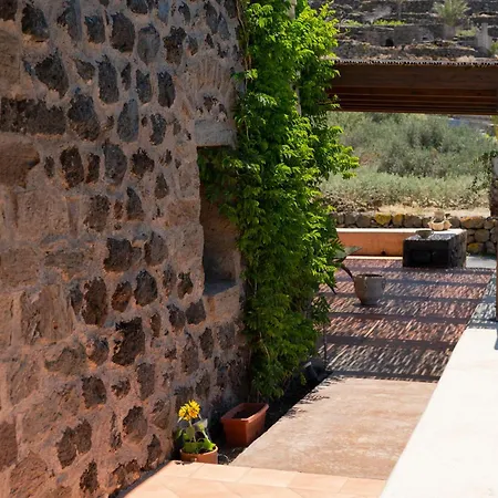 Dammusi Uliveto Holiday home *